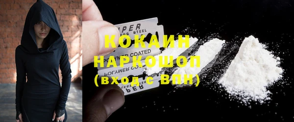 соль ск Белокуриха