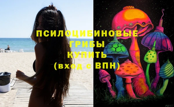 соль ск Белокуриха