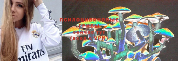 соль ск Белокуриха
