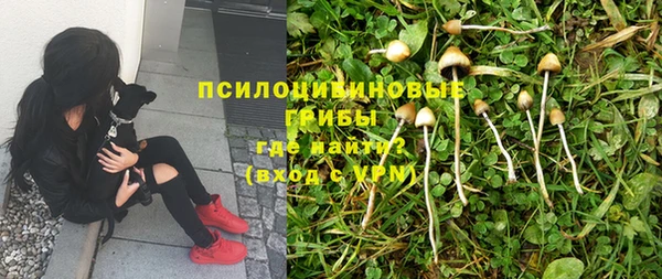MDMA Беломорск