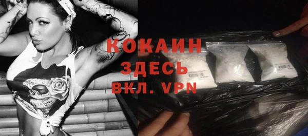 соль ск Белокуриха