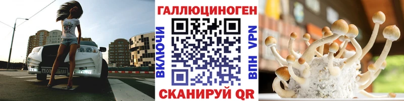 Псилоцибиновые грибы Psilocybe  Купить закладки  Алупка 